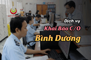 Dịch Vụ Khai Báo C/O Tại Bình Dương