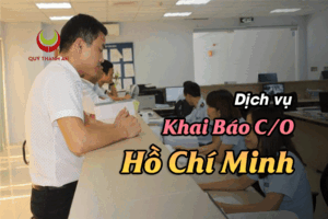 Dịch Vụ Khai Báo C/O Tại Hồ Chí Minh