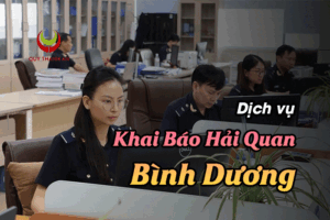 Dịch Vụ Khai Báo Hải Quan Bình Dương